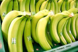 Banano orgánico peruano