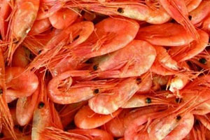 Langostinos peruanos congelados para exportación internacional